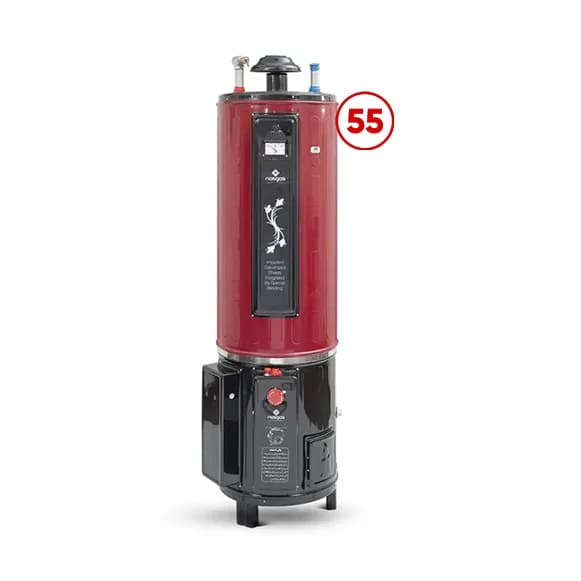 NasGas Geyser DEG-55 Super DLX 55-Gallon(200Ltr) Electric+Gas, Auto Ignition
